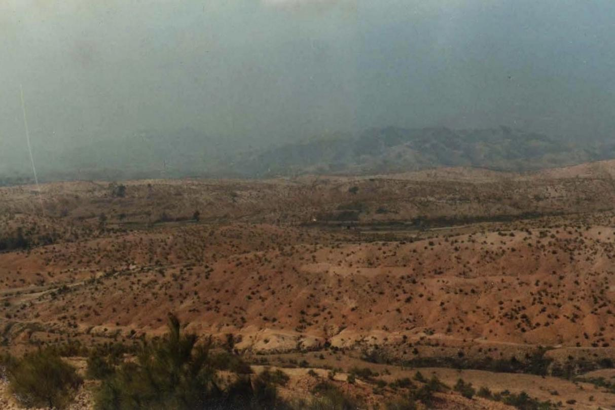 长汀县罗地草山(1981年)。长汀县水土保持中心供图