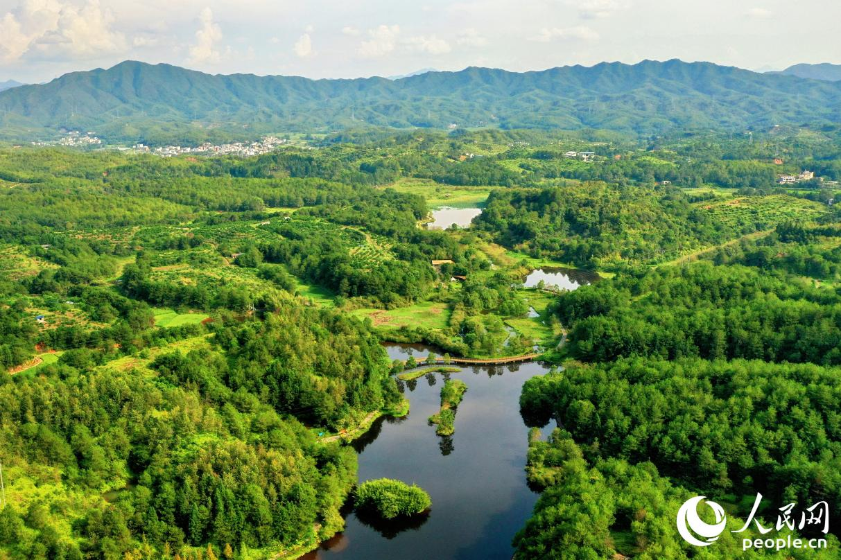 长汀山林湖泽新貌。人民网 李唯一摄